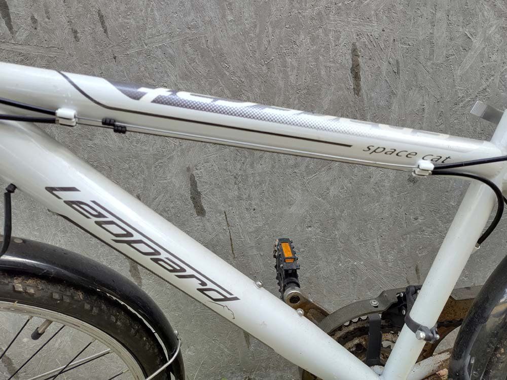 Biciclette: Kinder Fahrrad Leopard Space Cat – Difettoso da Steinmaur venduto da Swave 2