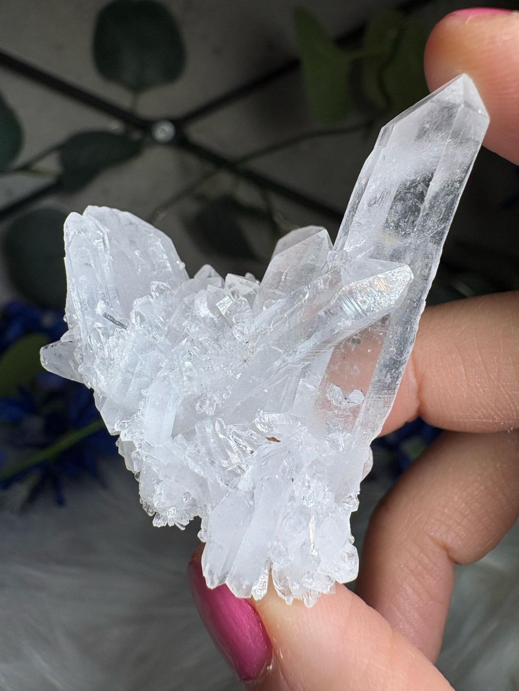 Minerali & Pietre curative: Kolumbianischer Lemurian-Quarz-Cluster – Nuovo (secondo la descrizione) da Neuheim venduto da m.hald 1