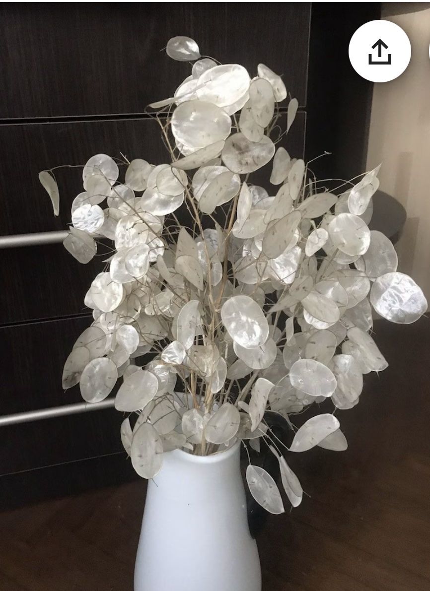 Alle Dekorationen: Silberblatt, Trockenblume zur Deko – Neu (gemäss Beschreibung) aus St. Antoni von Pepita82 1