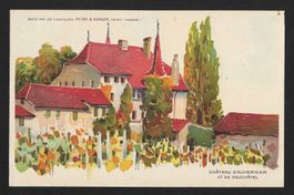 Carte Postale Peter & Kohler : CHÃTEAU D'AUVERNIER (1910s)