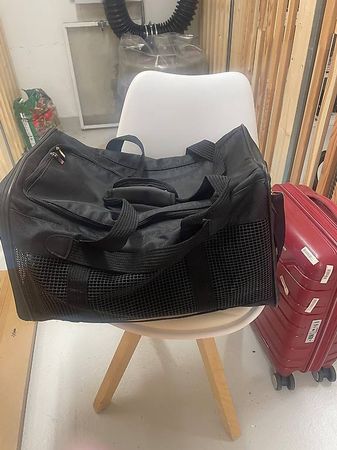 Hundetragetasche zu verkaufen