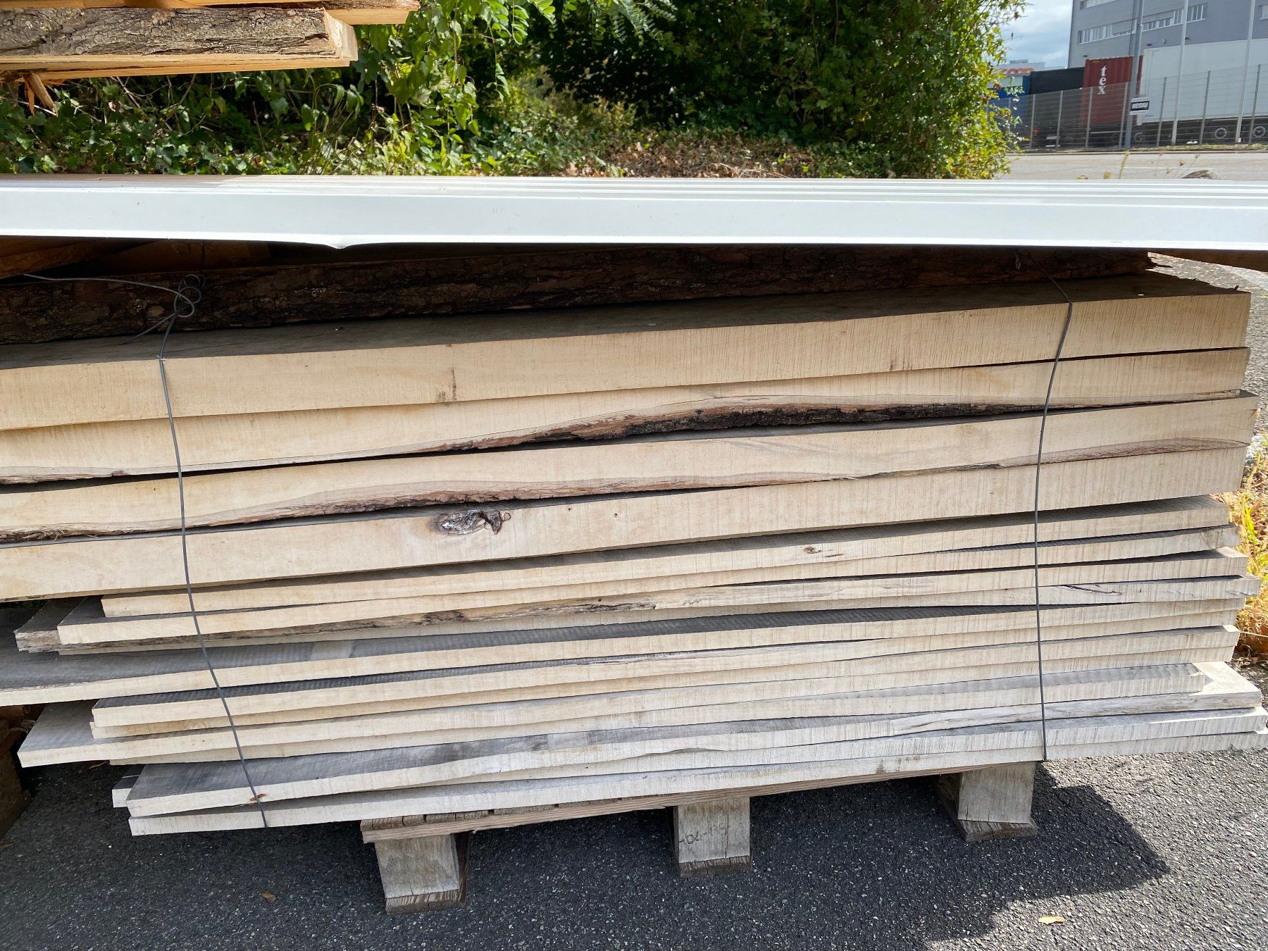 Articoli in legno: Lindenholz – Nuovo (secondo la descrizione) da Pratteln venduto da GHRR