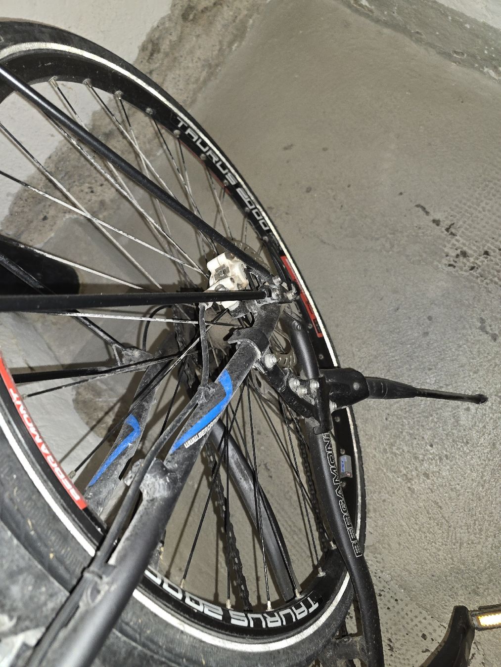 Bergamont Biciclette: Fahrrad Bergamont 52 Zoll – Usato da Zürich venduto da rolf290 6
