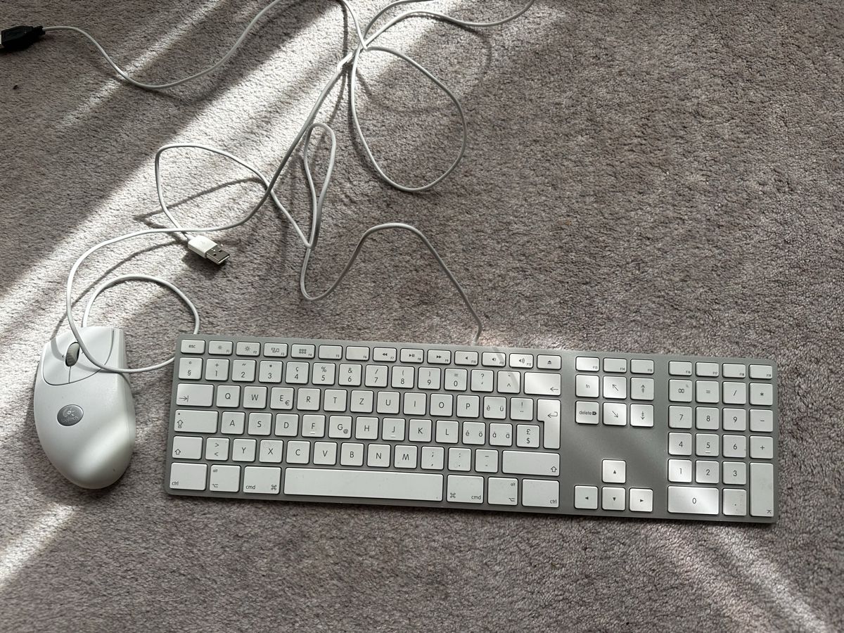 Apple Tastaturen: Apple Keyboard and Logitech Mouse used condition – Gebraucht aus Thalwil von klaudiamusiol