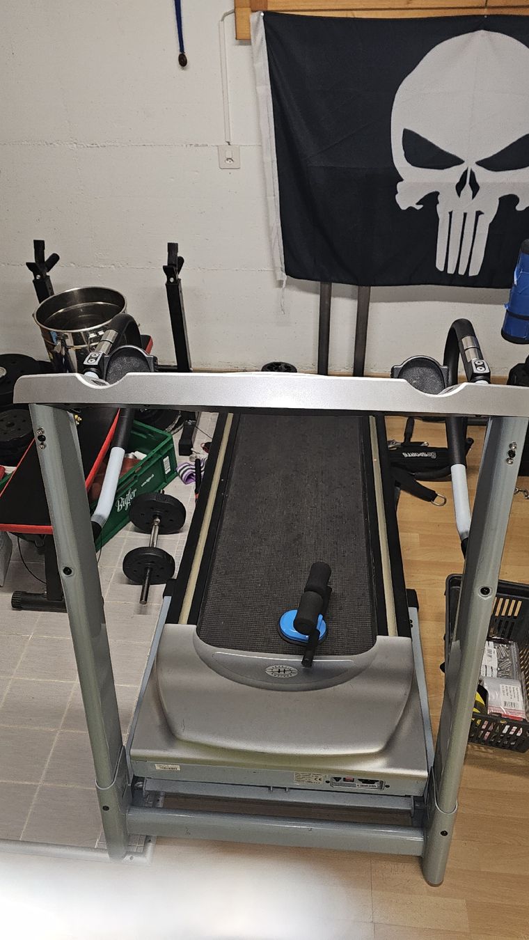 Horizon Hometrainer: Laufband  – Usato da Eglisau venduto da ruscyo12 1
