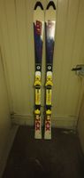 Elan SCX 15 mit Powercarve Platte