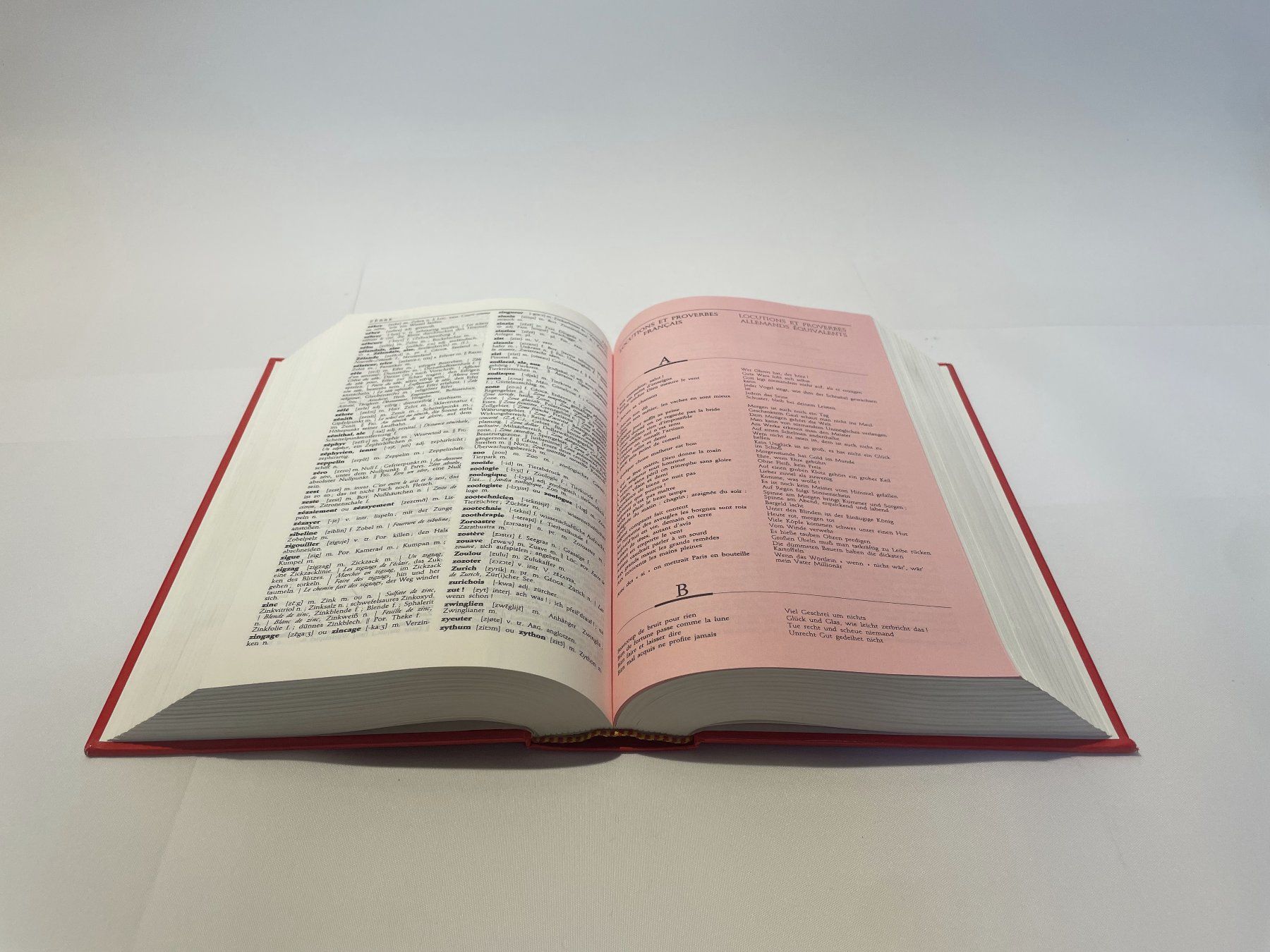 Libri: Dictionnaire Français - Allemand LAROUSSE – Usato da Vaulruz venduto da BeautifulDecay 4