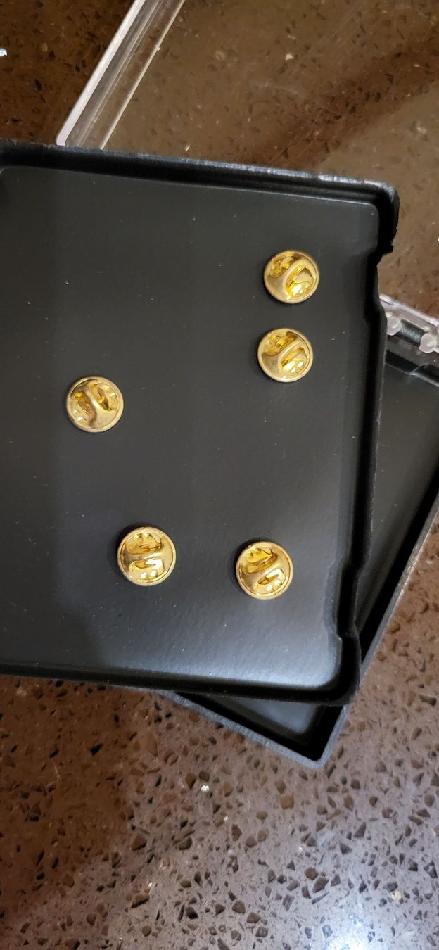 Spille & Fermagli: patrouille suisse pins – Nuovo (secondo la descrizione) da Camignolo venduto da Hakunamat5 1