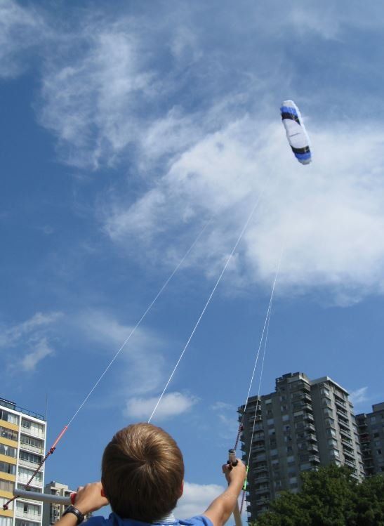 Powerkite RS, 3m2 (Gebraucht) in Binz für CHF 130 – mit Lieferung auf ...