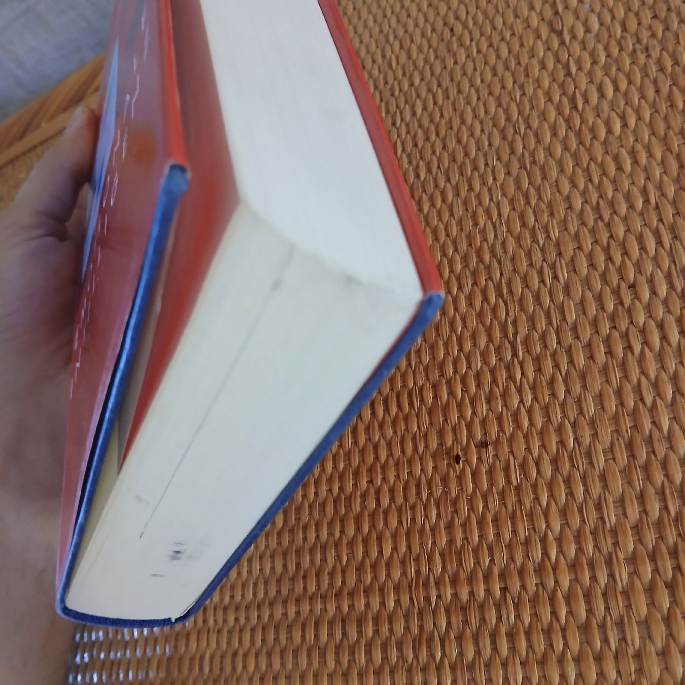 Livres: Emotionale Intelligenz Daniel Goleman Buch – D'occasion à Wädenswil par LeTroedel 2