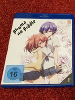 Akuma no Riddle  (1) - Die Abschlussklasse         >DE + JA<