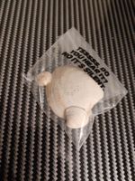 Muscheln aus Mallorca