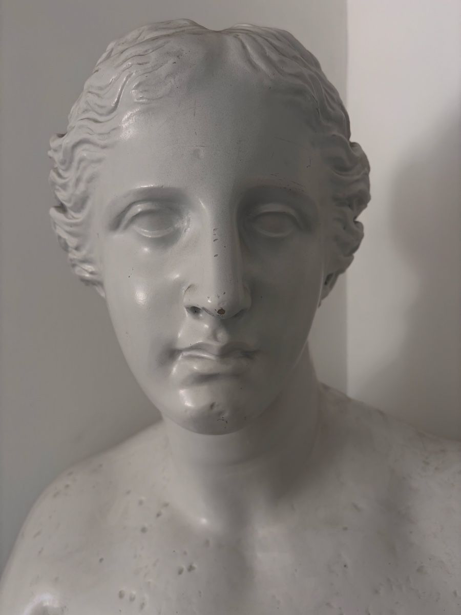 Skulpturen & Statuen: Venus von Milo Büste, Polyester, Deko-Figur – Gebraucht aus Zollikon von lar_572k 2