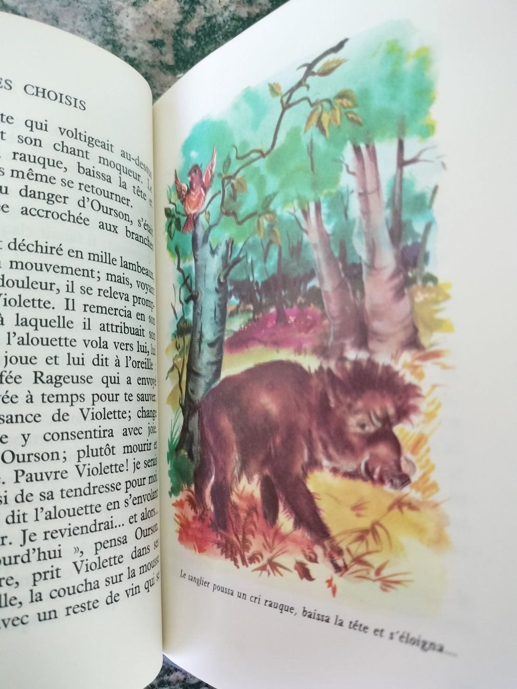 Libri: CONTES CHOISIS COMTESSE DE SÉGUR DÈS 6 ANS – Usato da Cortaillod venduto da rozinna 9