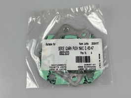Dichtungssatz Puch Maxi 45-47mm neu