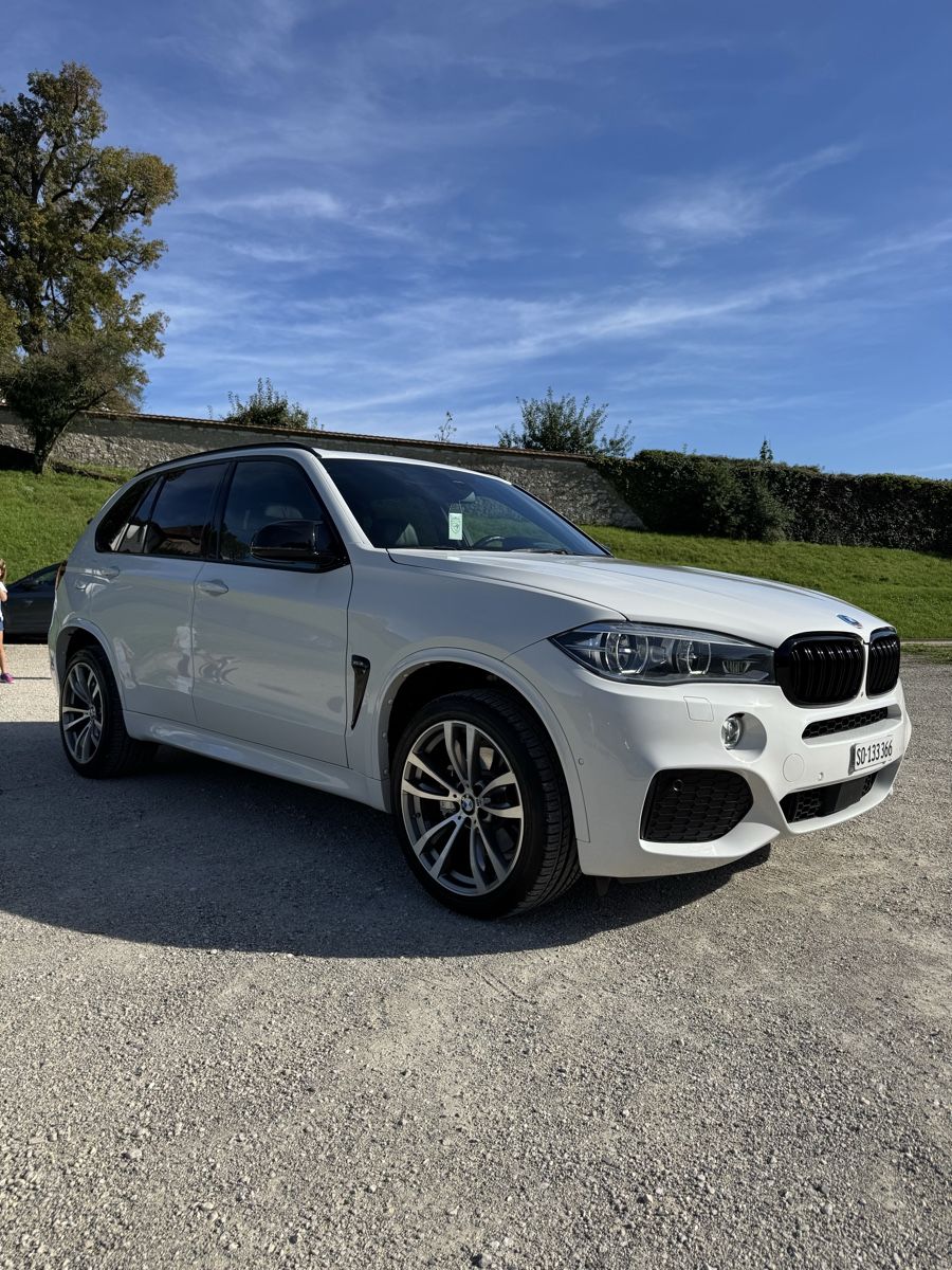BMW Automobili: BMW X5 40d M- Packet – Usato da Zuchwil venduto da BUJE1 3