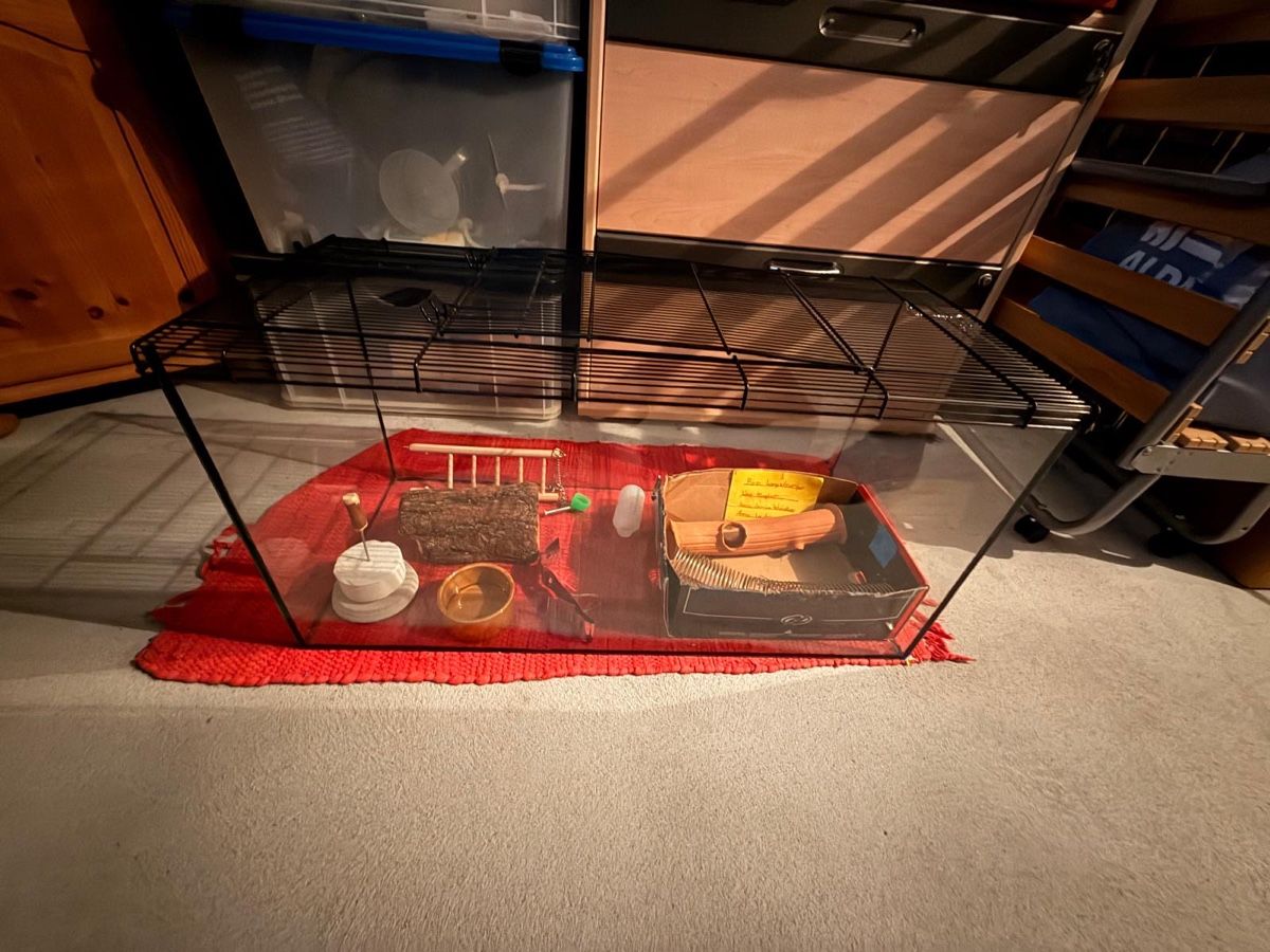 Terrario: Terrarium – Usato da Münsingen venduto da mik_8bgk