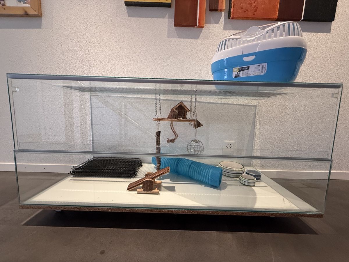 Terrariums: Hamsterkäfig mit Zubehör – D'occasion à Hägendorf par studedo01