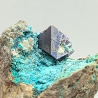 GLÄNZENDE CUPRIT auf AZURBLAUER CHRYSOKOL, Kongo
