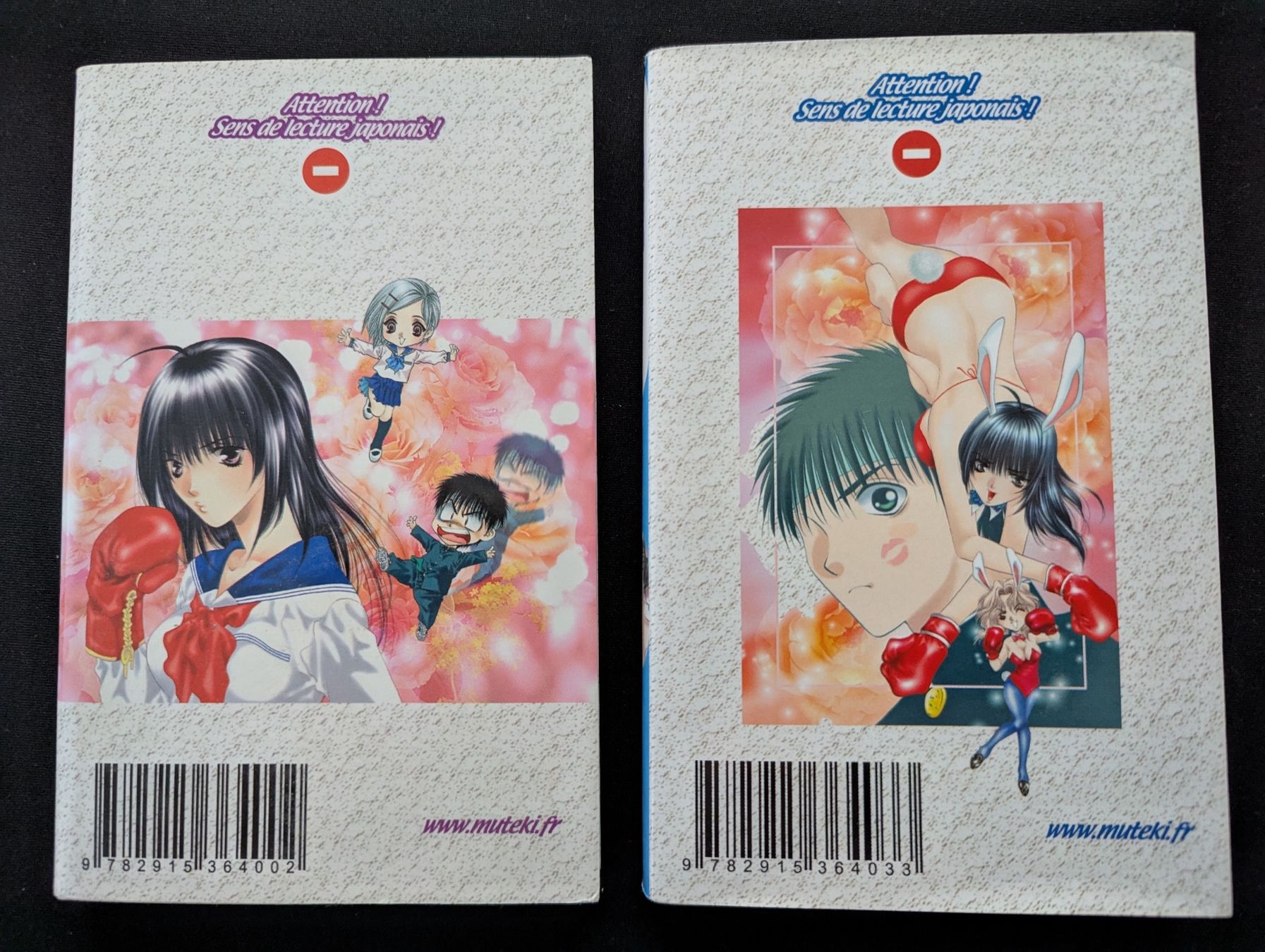 Fumetti: Mangas Girls Saurus Vol 1 et 2 – Usato da Basel venduto da seewhybee 1