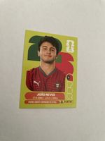 FIFA WM 2026 Joao Neves POR 14