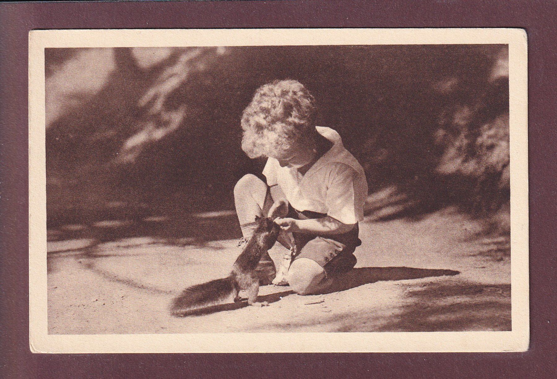 Cartes postales: AROSA - Waldfreunde - Eichhörnchen – D'occasion à Pully par nicecards