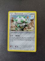 Ferroseed 79/122 Pokémon XY Breakpoint 2016 (EN) ab 1.-