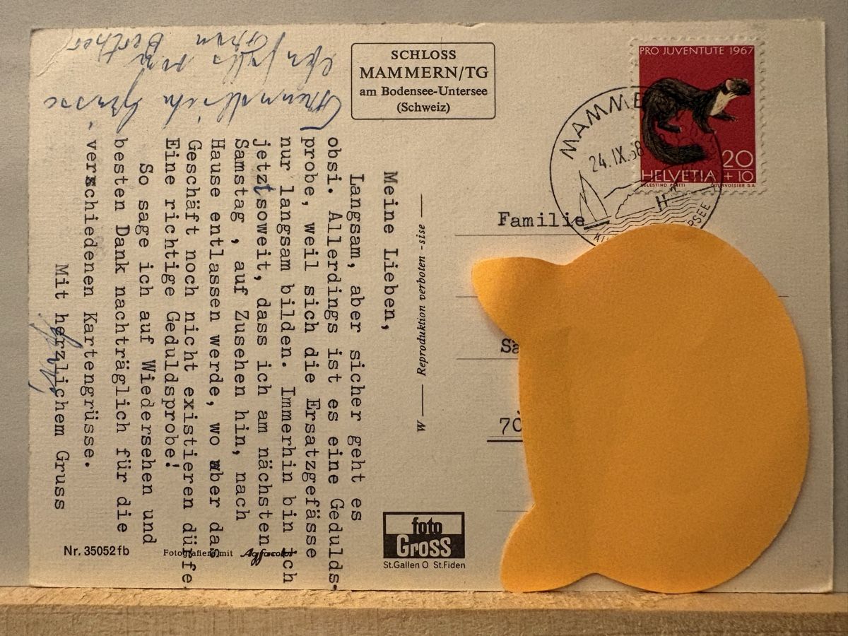 Cartes postales: AK von Schloss Mammern – D'occasion à Rümlang par Kartenpost1 1
