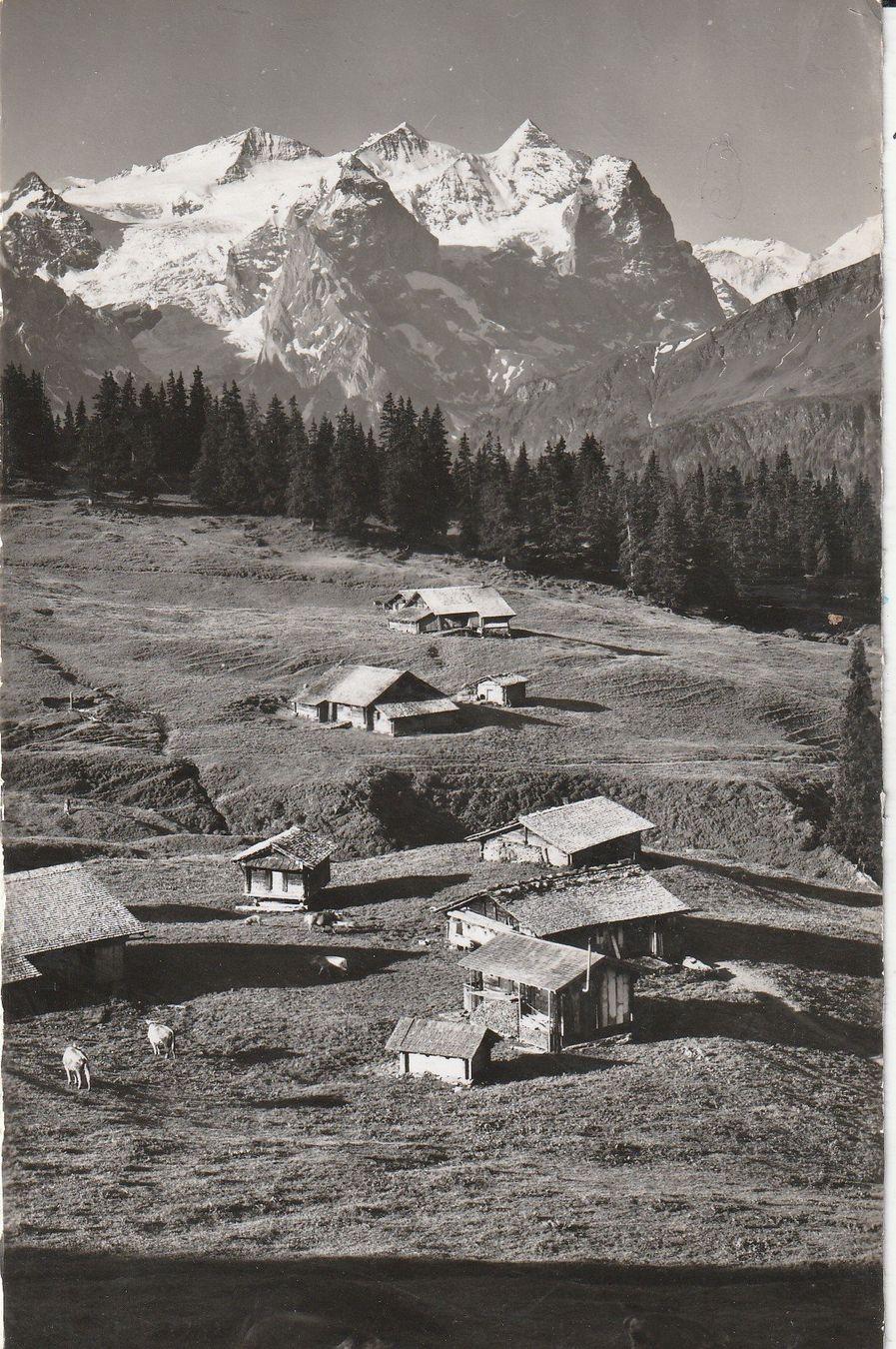 Cartoline postali: Hasliberg ALP – Usato da Lumbrein venduto da made02