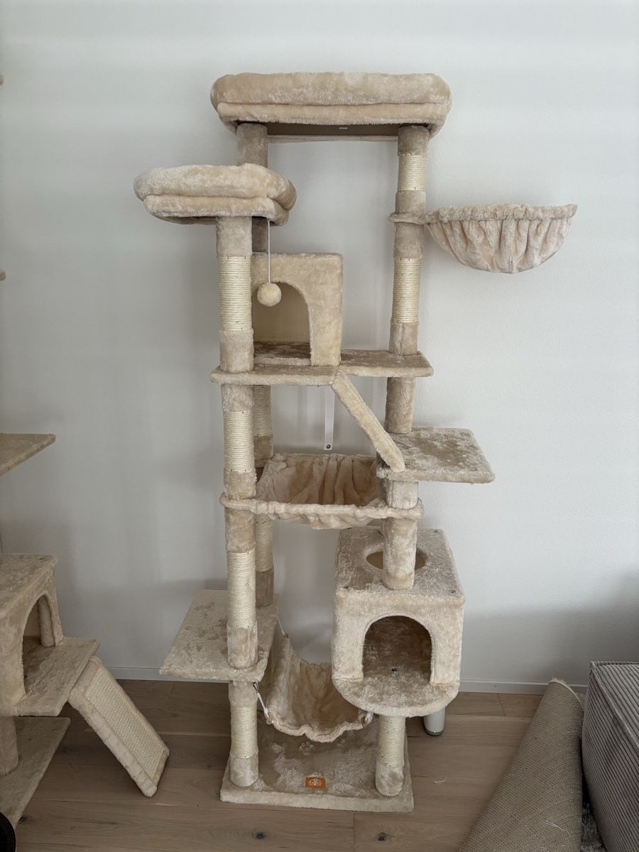 Tiragraffi: Kratzbaum Katzen 180cm beige – Nuovo (secondo la descrizione) da Lömmenschwil venduto da tmr_xx 4