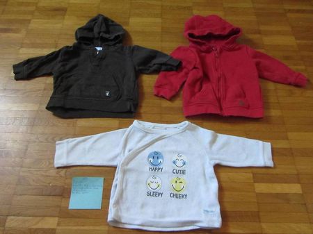 Lot de 3 pulls taille 68
