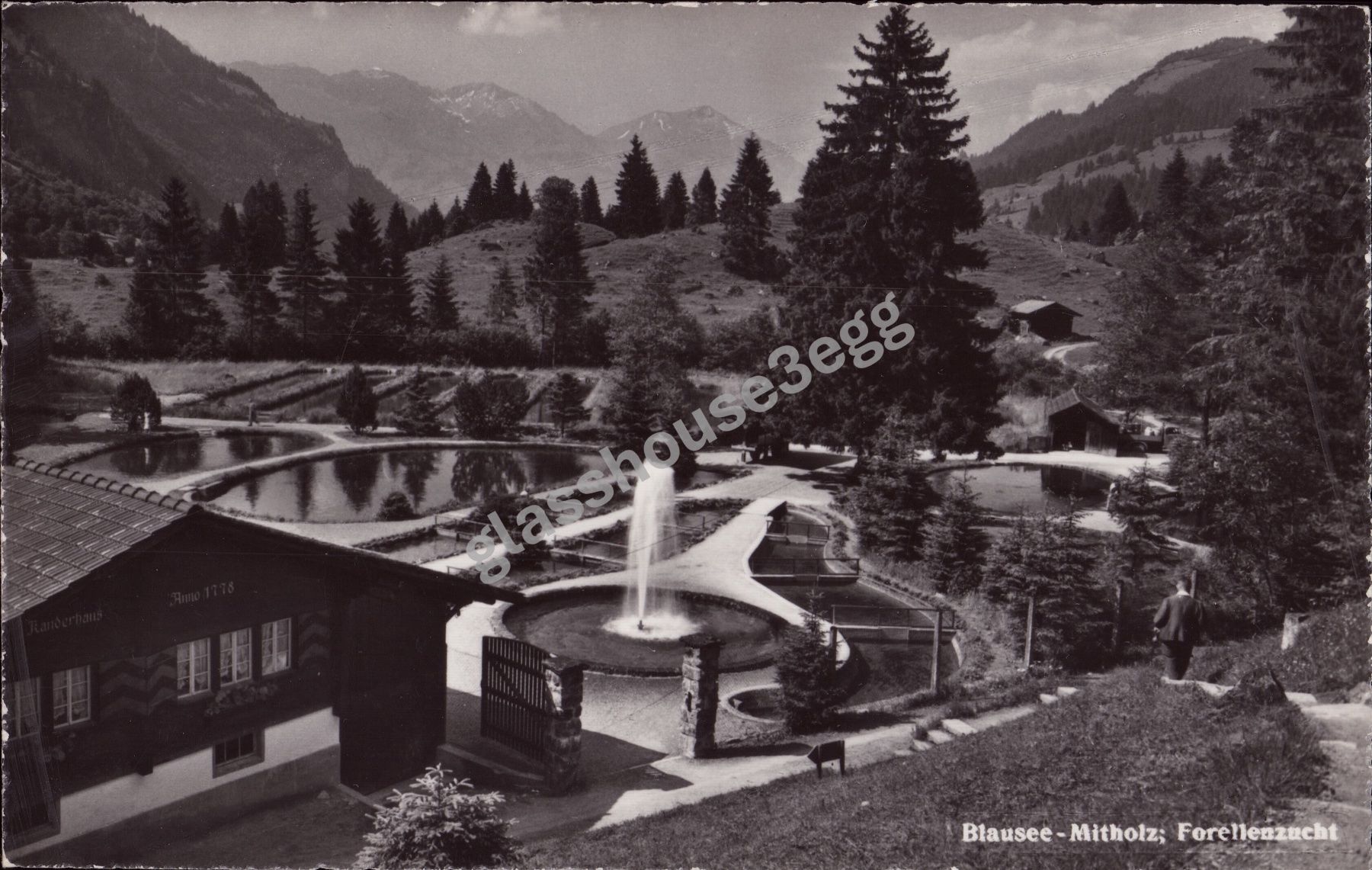 Cartoline postali: AK Blausee - Mitholz; Forellenzucht – Usato da Eggersriet venduto da glasshouse3egg