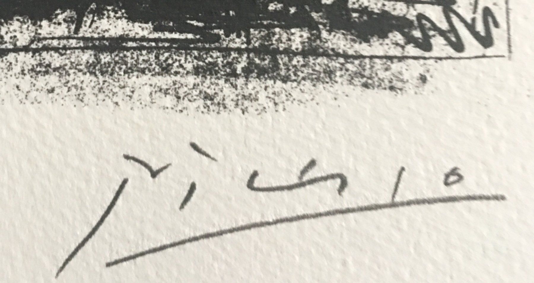Grafica & Litografie: Pablo Picasso   Buffon Zyklus    "L' Ane"   Lithographie – Usato da Nennigkofen venduto da Sommersonnen 6