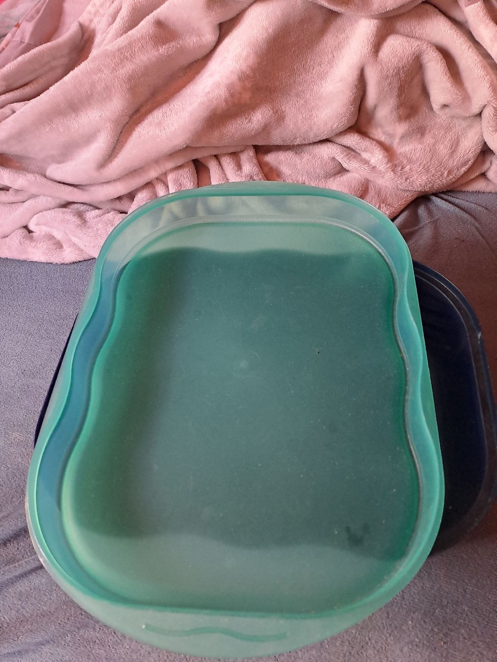 Tupperware Contenitori & Simili: tupper mit deckel – Usato da Ardez venduto da hui_kkb6 1