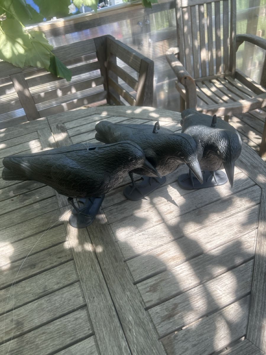 Statuette: Vogelscheuche Raben 3er Set schwarzes Kunststoff neu – Usato da Arlesheim venduto da and_p9d8
