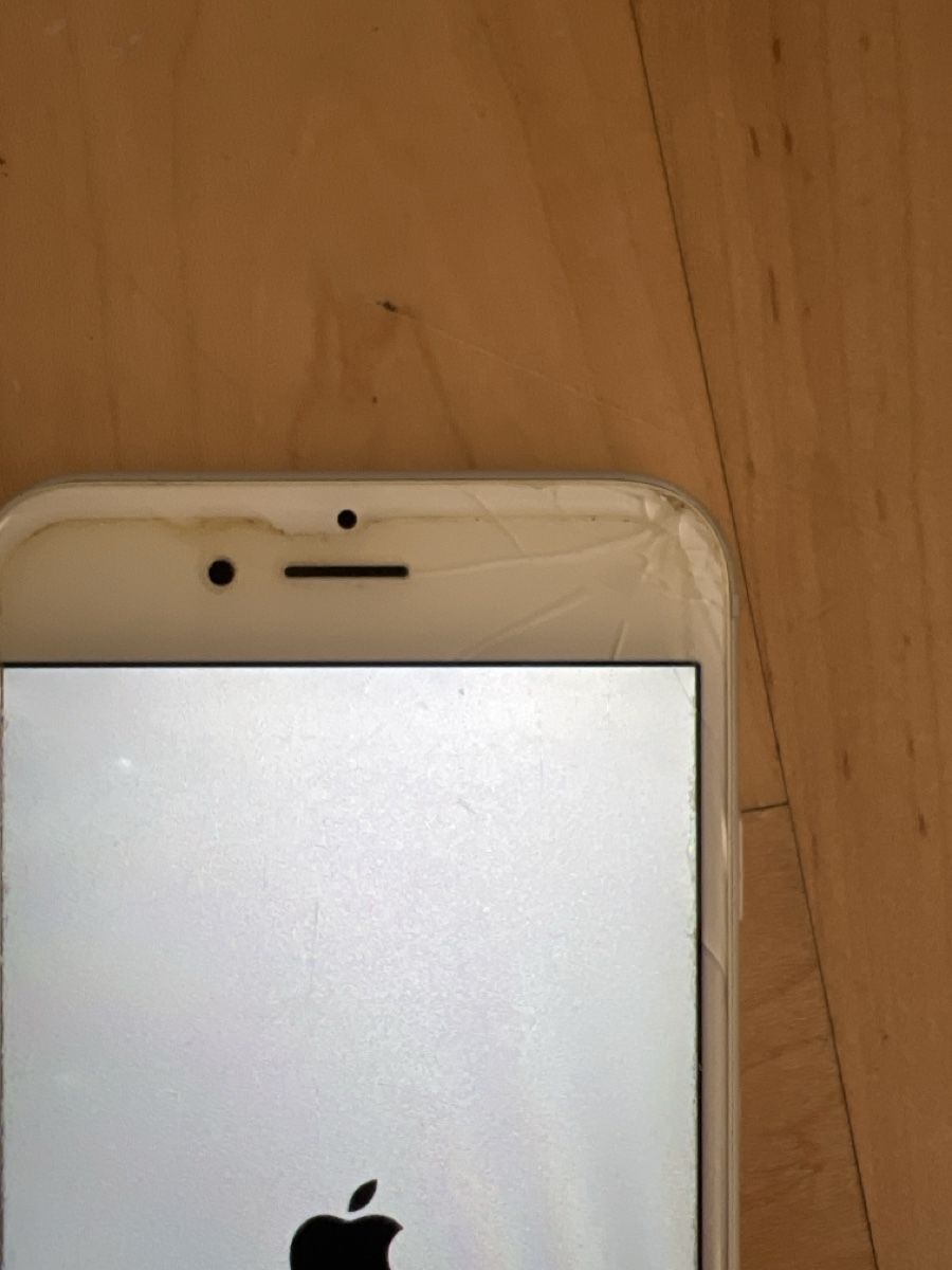 Apple Telefoni cellulari / Smartphones: iPhone 6s Silber – Usato da Zürich venduto da Alexandra2206 1