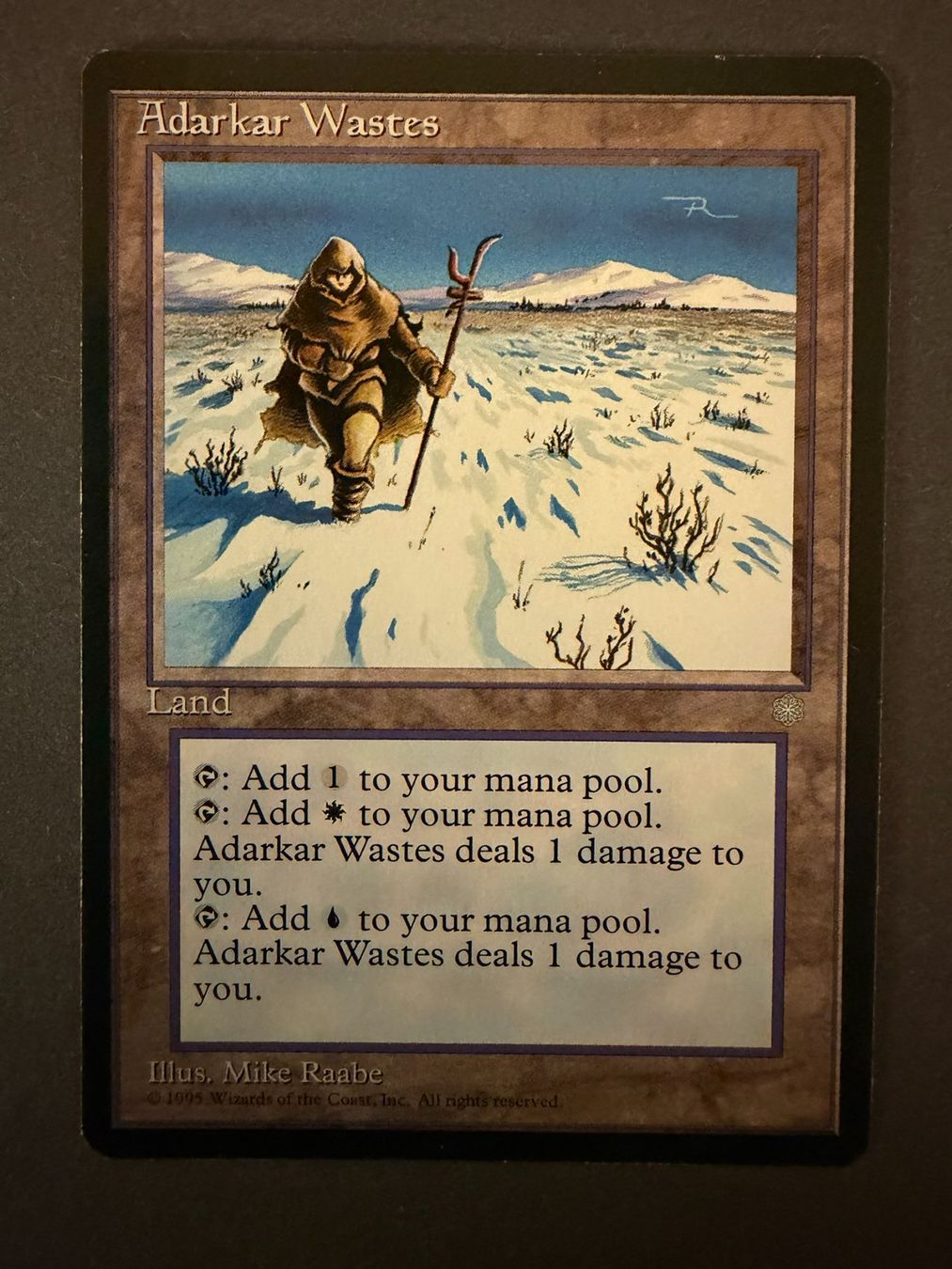 Magic The Gathering Carte collezionabili: Adarkar Wastes // Adarkarwüste / Ice Age // Eiszeit // Magic – Usato da Binz venduto da Tempelritter