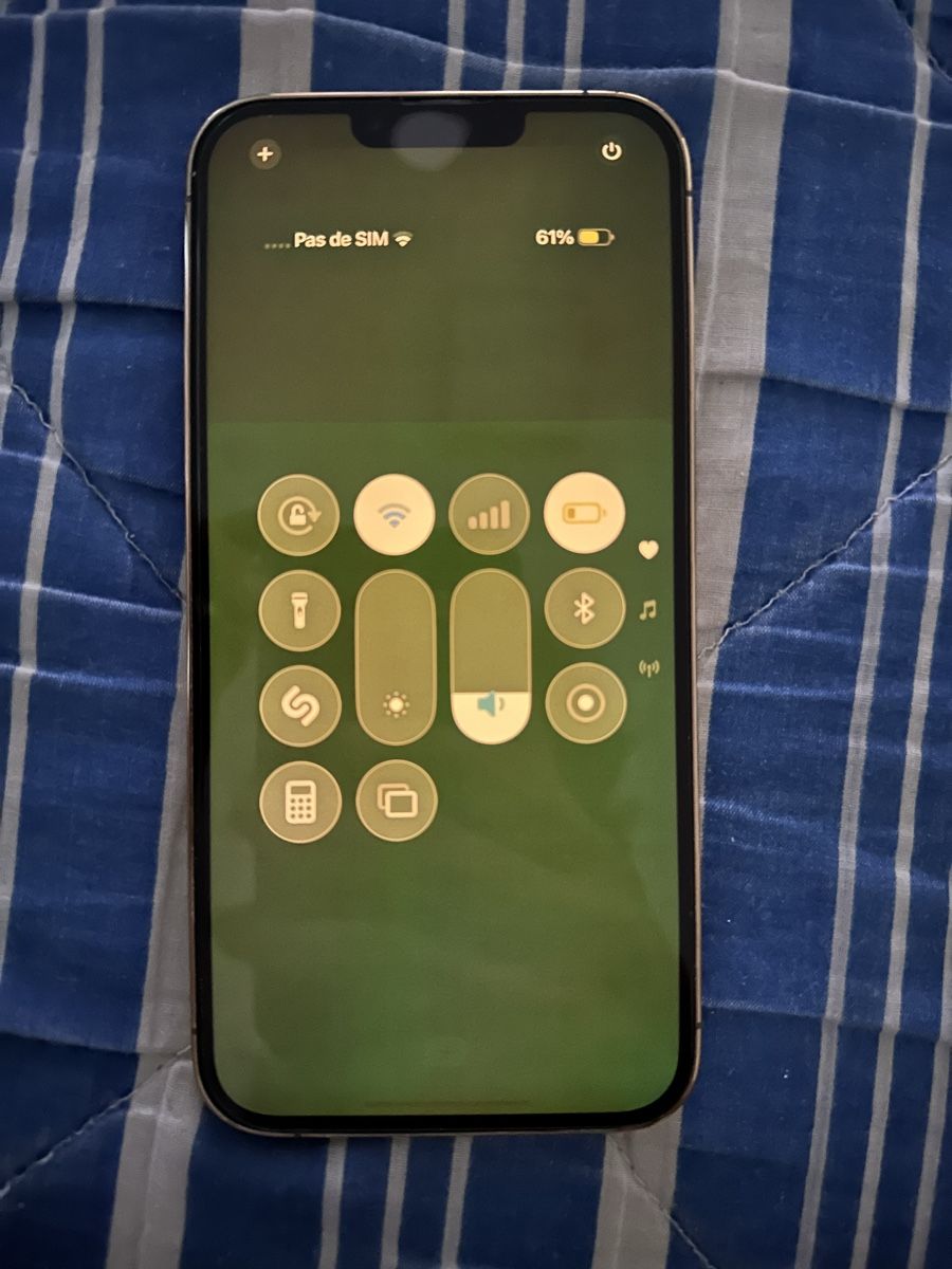 Apple Telefoni cellulari / Smartphones: iPhone 13 Pro Max 256Gb gold  – Usato da L'Orient venduto da Pau_2jnt 2