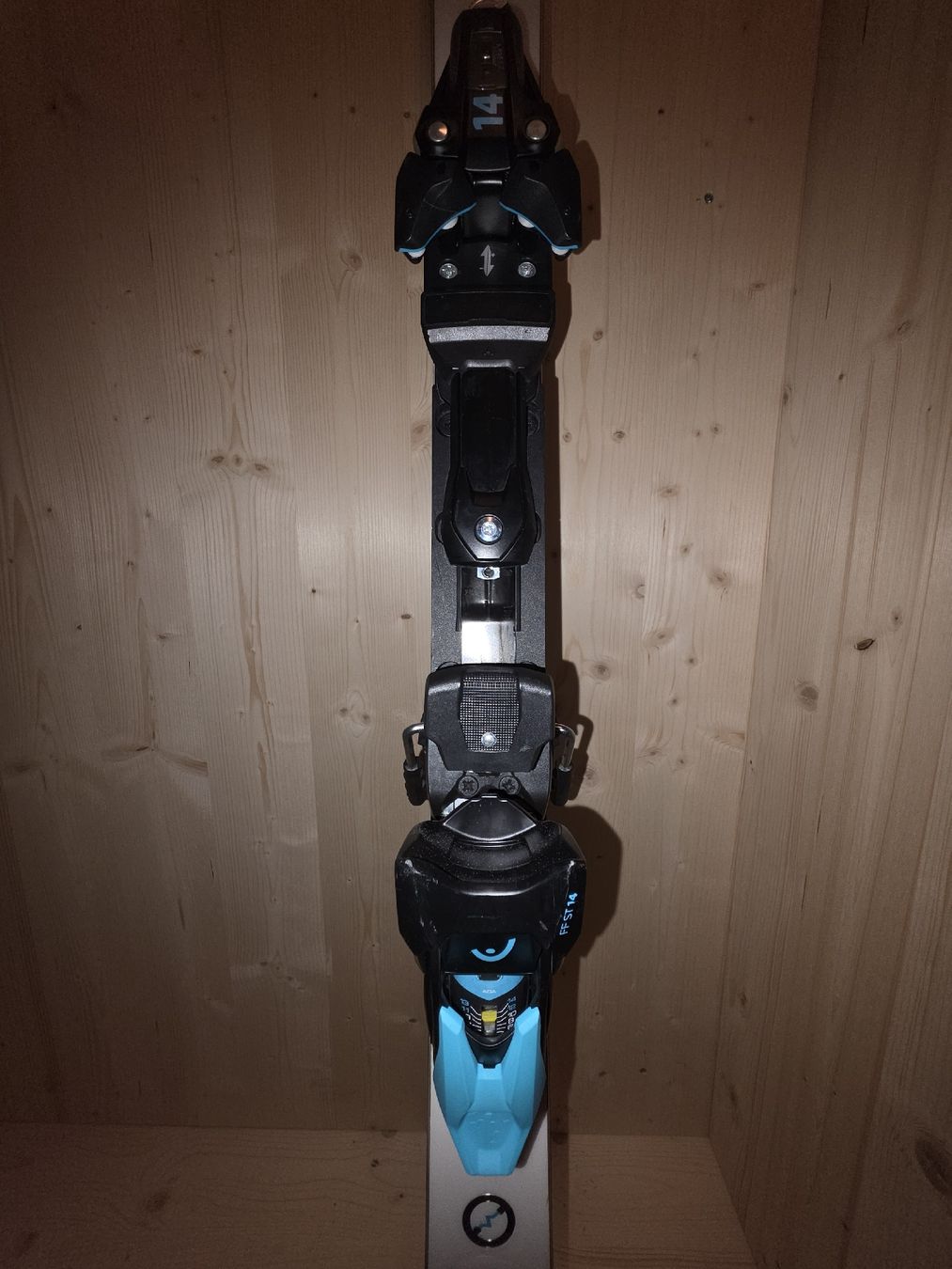 Head Skis: Head Ski e-GS 181 R.25,0 – D'occasion à Tägerwilen par BillBones 3