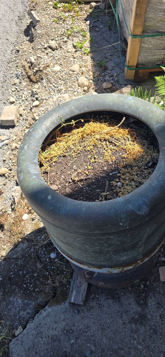 Vasi per fiori: Kupfer Wäschetrommel "Moderna" – Difettoso da Züberwangen venduto da Roff 1