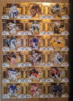 Complete collection set 18 cards Keepers NHL