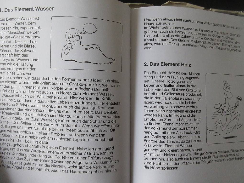 Libri: Kochen mit Liebe -und den 5 Elementen 2 Bücher – Usato da Madiswil venduto da Mamaro 1