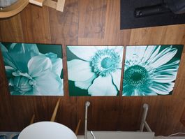 3 x Blumenbild, Leinwandbild, Wanddeko, Top Zustand, Grün