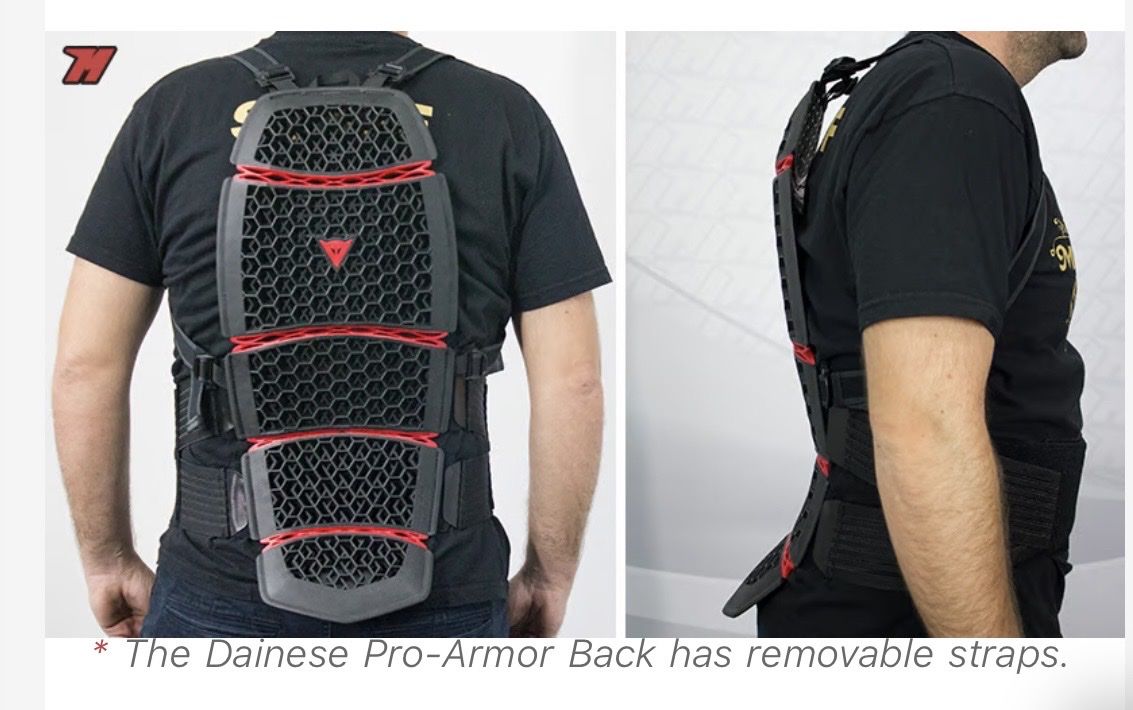 Dainese Protezioni & Imbottiture: Dainese Pro-Armor 2.0 Rückenprotektor – Nuovo (secondo la descrizione) da Zürich venduto da haschmet 3