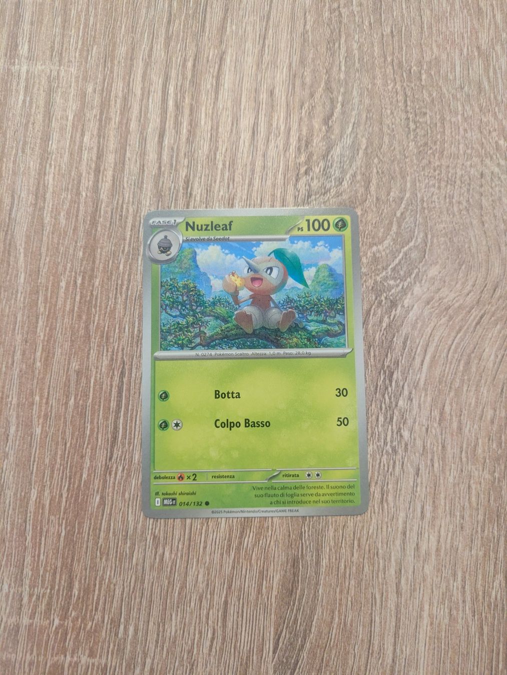 Pokémon Carte collezionabili: NUZLEAF, MEGA EVOLUTION, MEG14, COMMON, 2025, ITA, NM/MT – Usato da Losone venduto da AlpineLayer