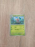 NUZLEAF, MEGA EVOLUTION, MEG14, COMMON, 2025, ITA, NM/MT