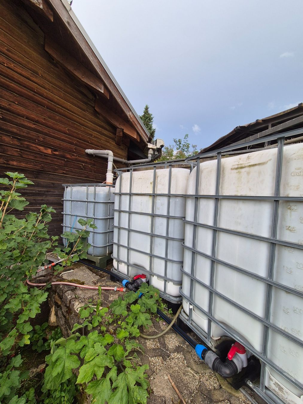 Abbeveratoi e trogoli: Regenwasser Tank with pumpe – Usato da Münchenstein venduto da BD2000