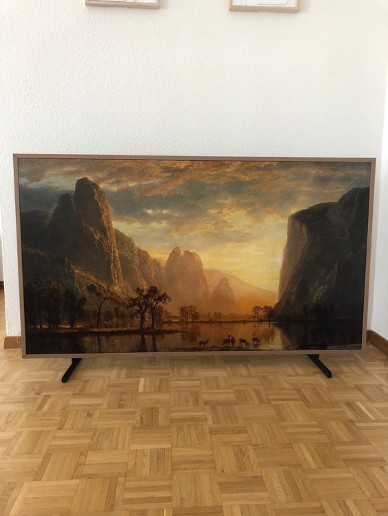 Samsung The Frame 65 (2023 + woodteck frame Kaufen auf