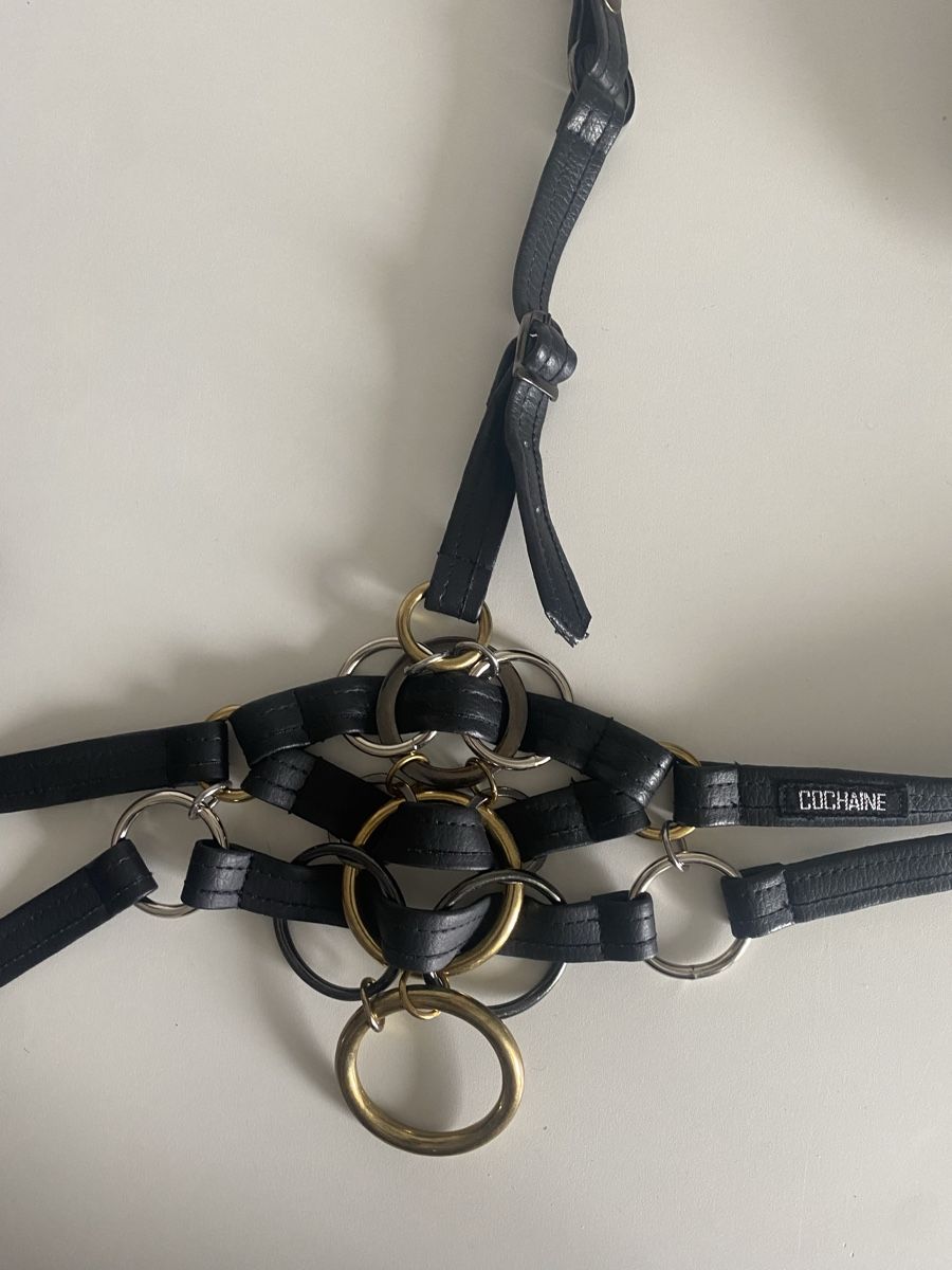 Sport dell'aria & Aquiloni: Body Harness – Usato da Winterthur venduto da chiaroscuro27 4