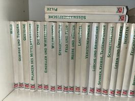 buch, serie time live . farbigen naturführer, tolles werk
